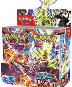 Obsidian Flames Booster Box