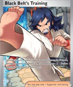 Black Belt's Training 255/217 - Pokemon Ascended Heroes